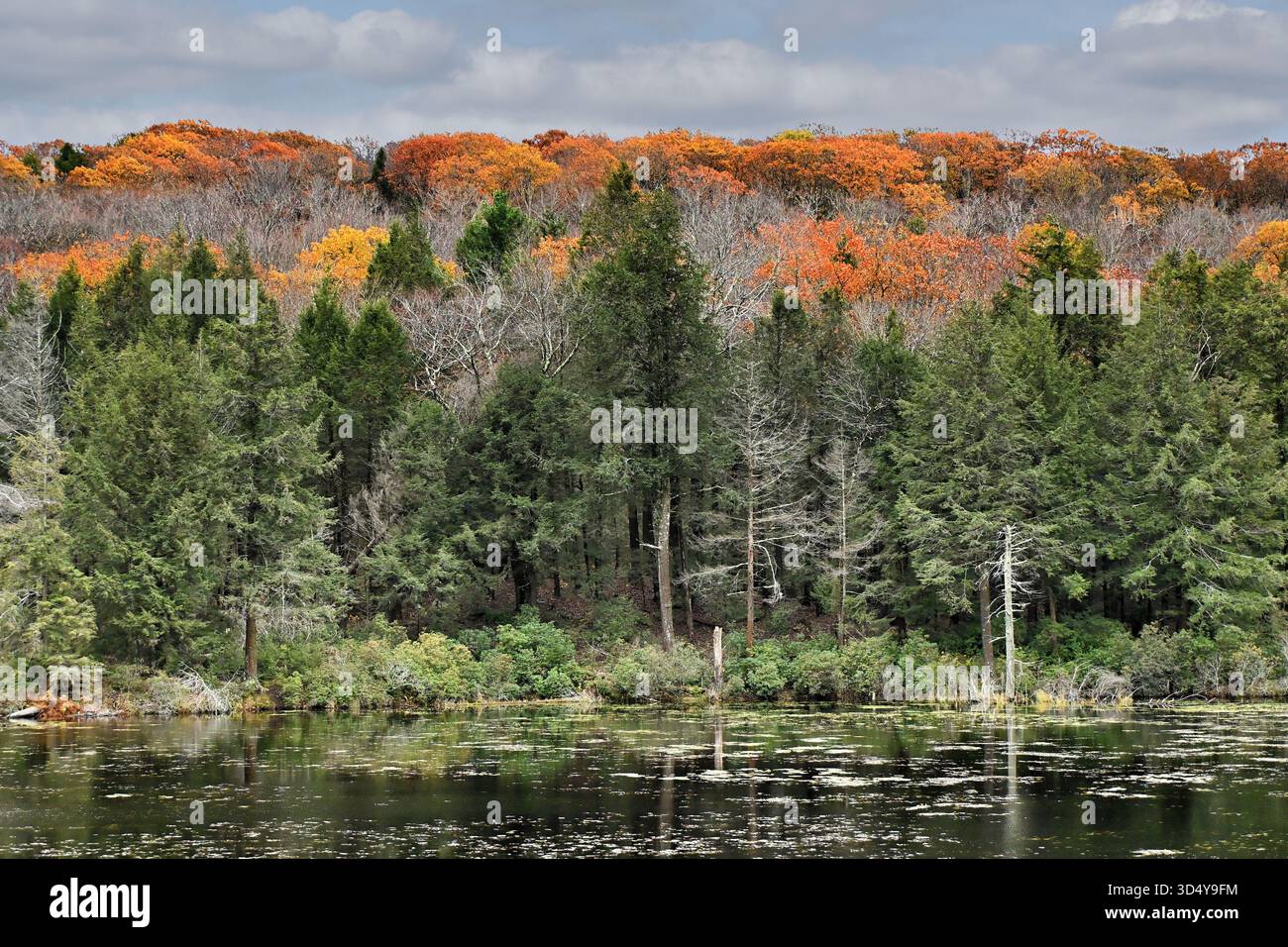 Berkshire Pond Reflections and Fall Color Stock Photo