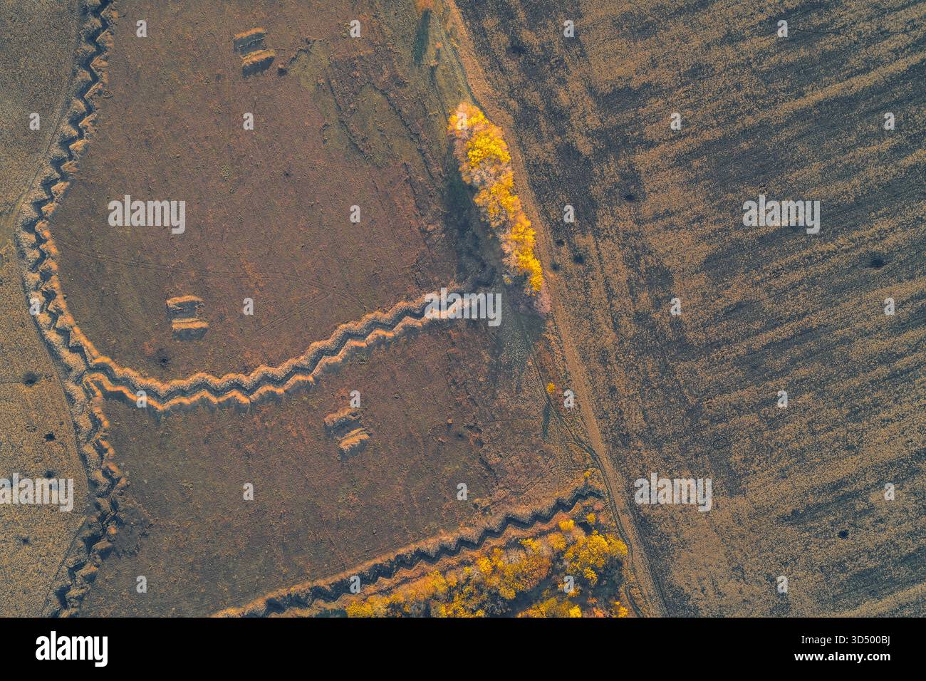 Trench system of a company strongpoint in open farmland - tactical ...