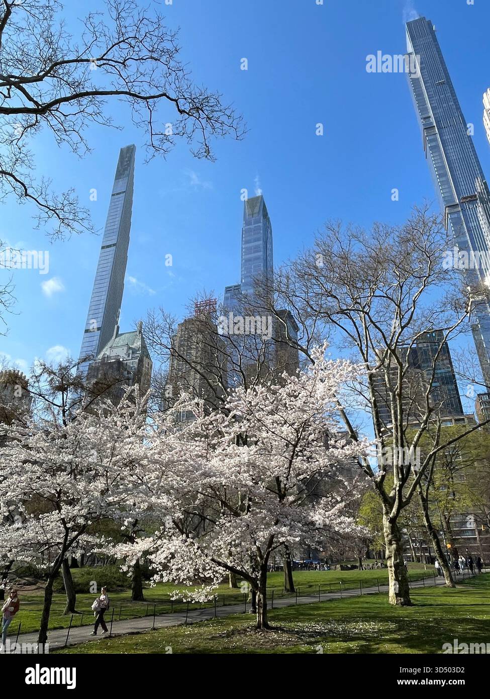 Nature meets urban architecture in Central Park’s scenic views. - Smartphone Captured Stock Image
