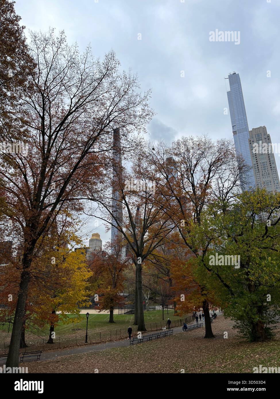 Nature meets urban architecture in Central Park’s scenic views. - Smartphone Captured Stock Image