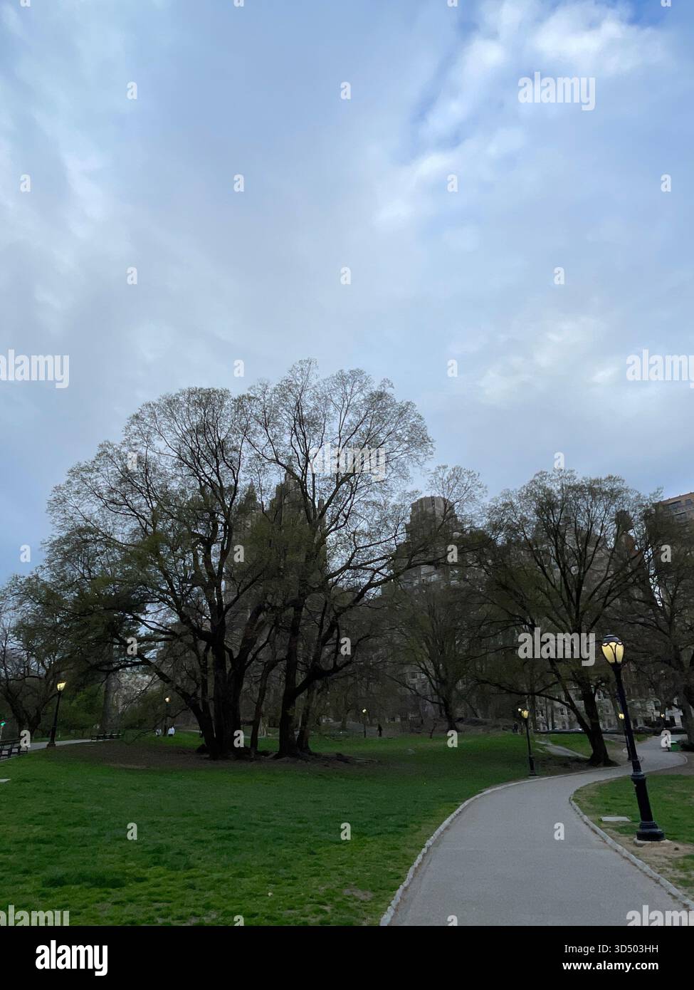 Springtime magic in the heart of Manhattan. - Smartphone Captured Stock Image
