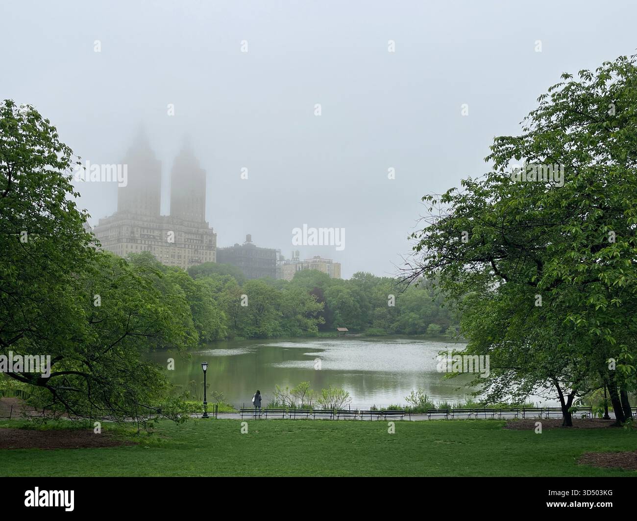 Central Park’s Lake awakens with spring blossoms and fresh greenery. - Smartphone Captured Stock Image