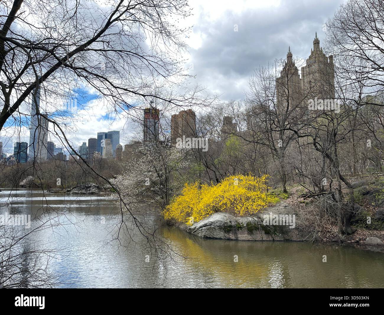 Springtime magic in the heart of Manhattan. - Smartphone Captured Stock Image