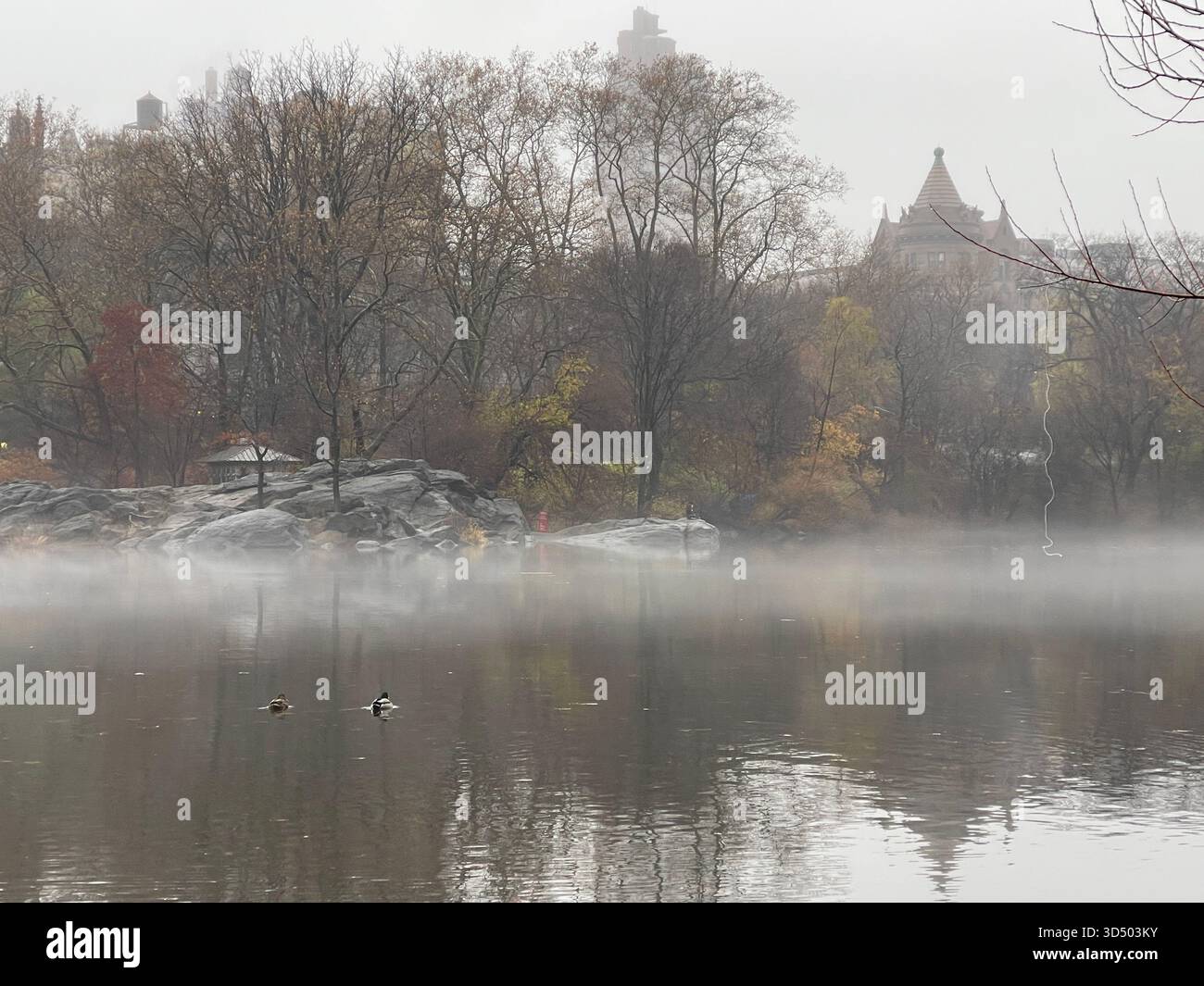 The city awakens under a soft, misty morning in New York City. - Smartphone Captured Stock Image