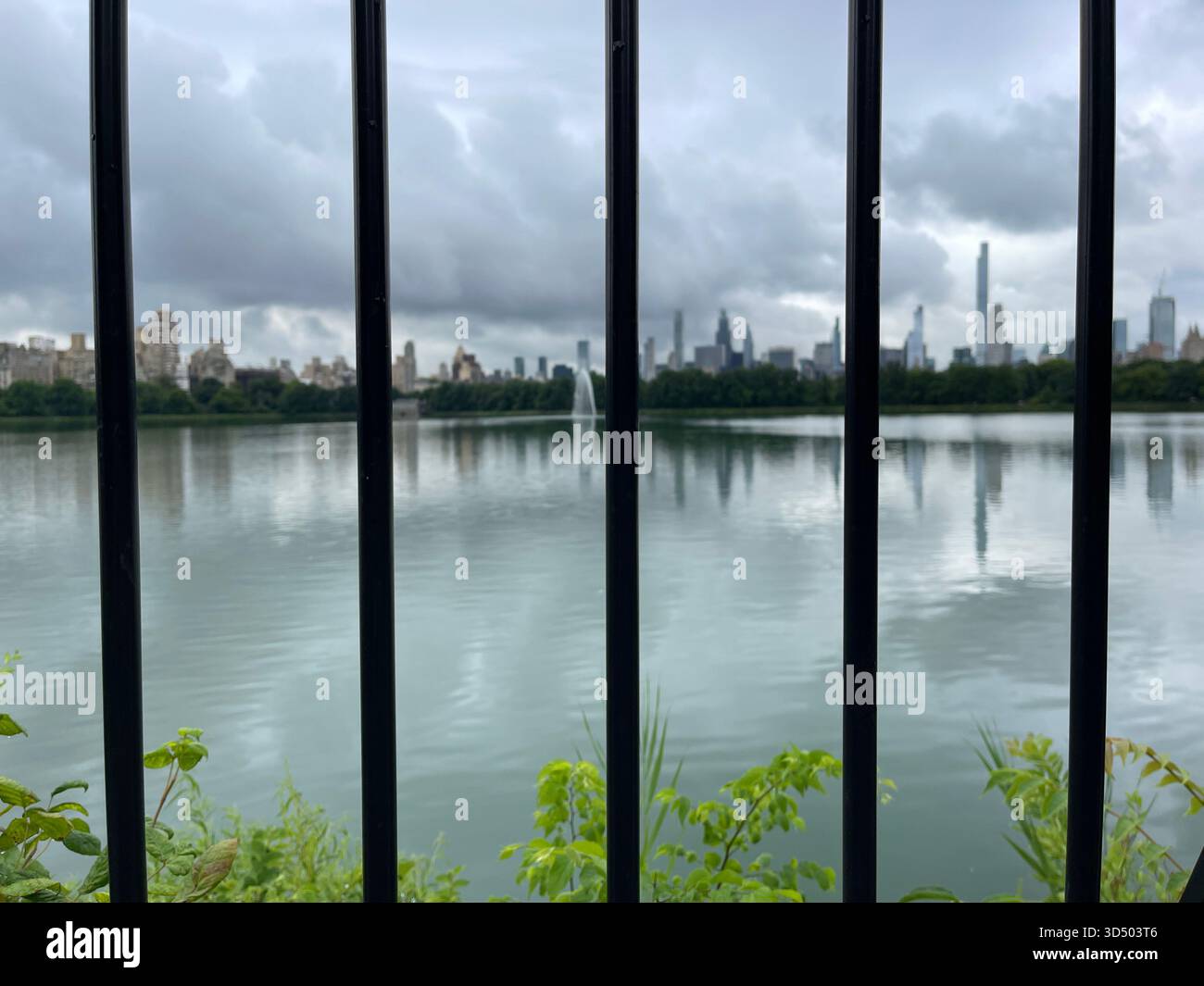 Springtime magic in the heart of Manhattan. - Smartphone Captured Stock Image