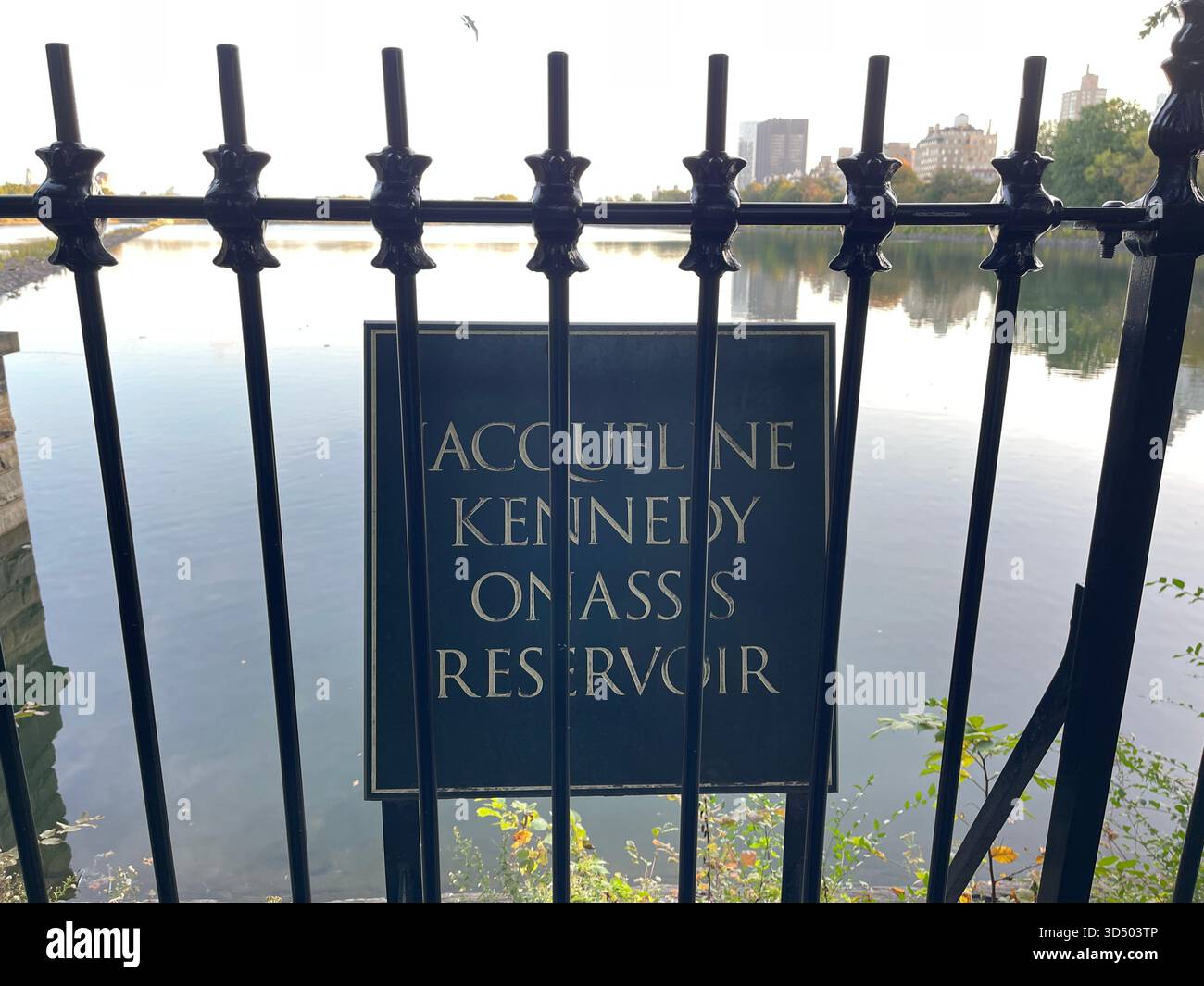Springtime magic in the heart of Manhattan. - Smartphone Captured Stock Image