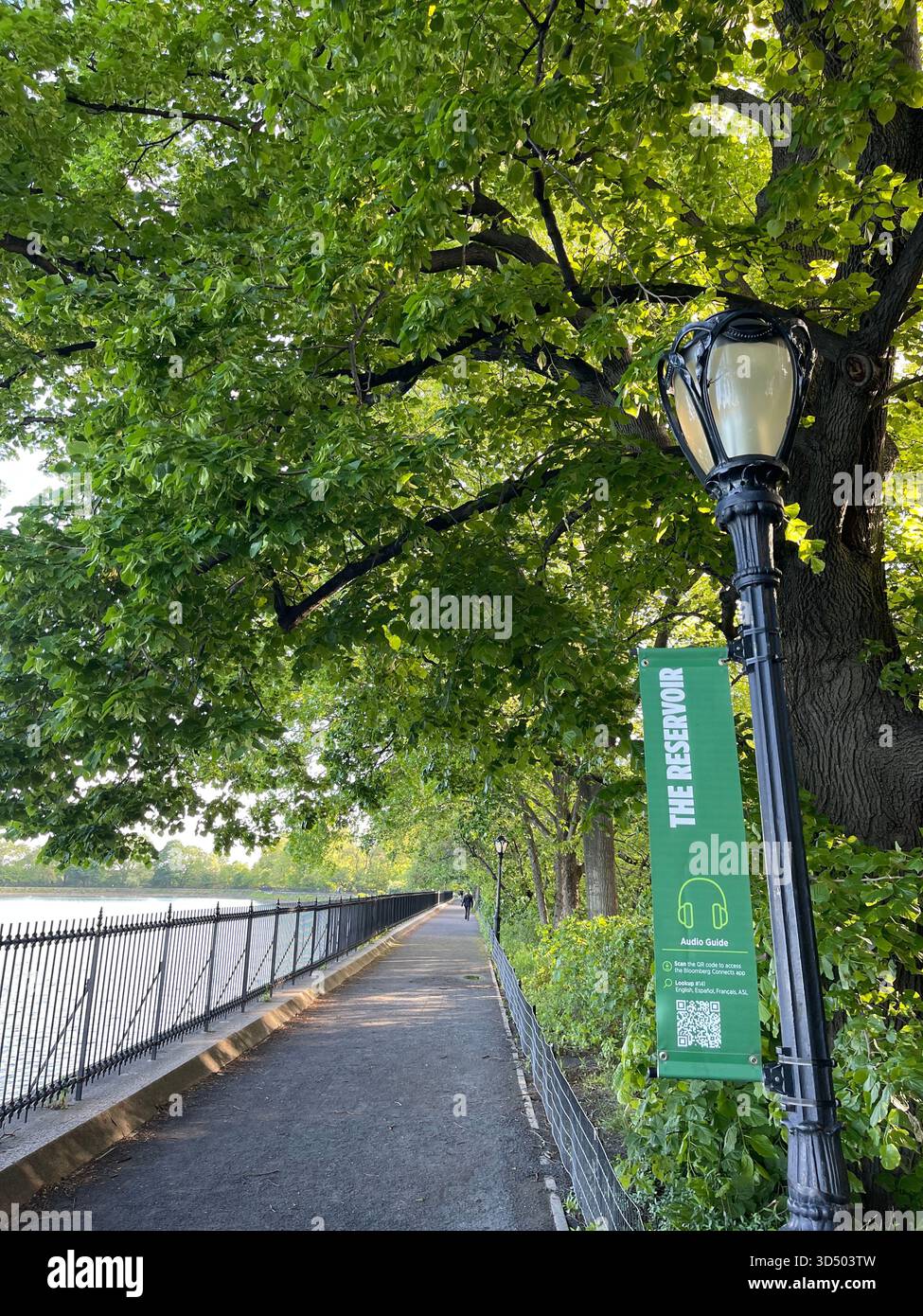 Springtime magic in the heart of Manhattan. - Smartphone Captured Stock Image