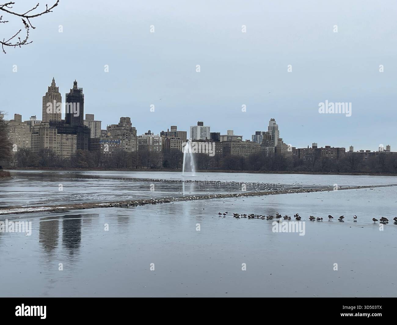 The Central Park Reservoir transforms with the beauty of each season. - Smartphone Captured Stock Image