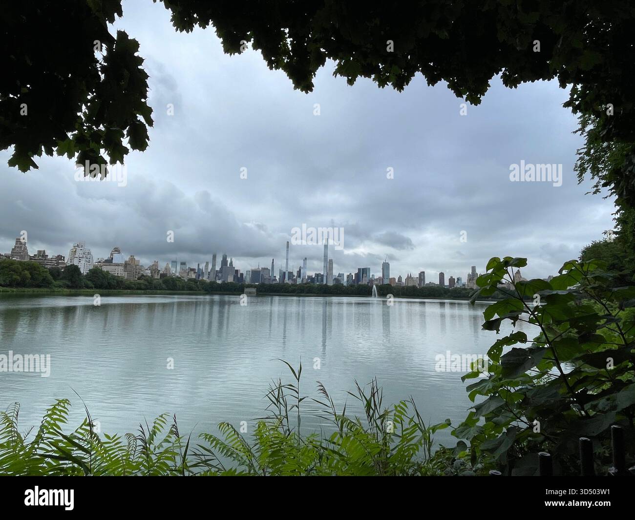 Springtime magic in the heart of Manhattan. - Smartphone Captured Stock Image