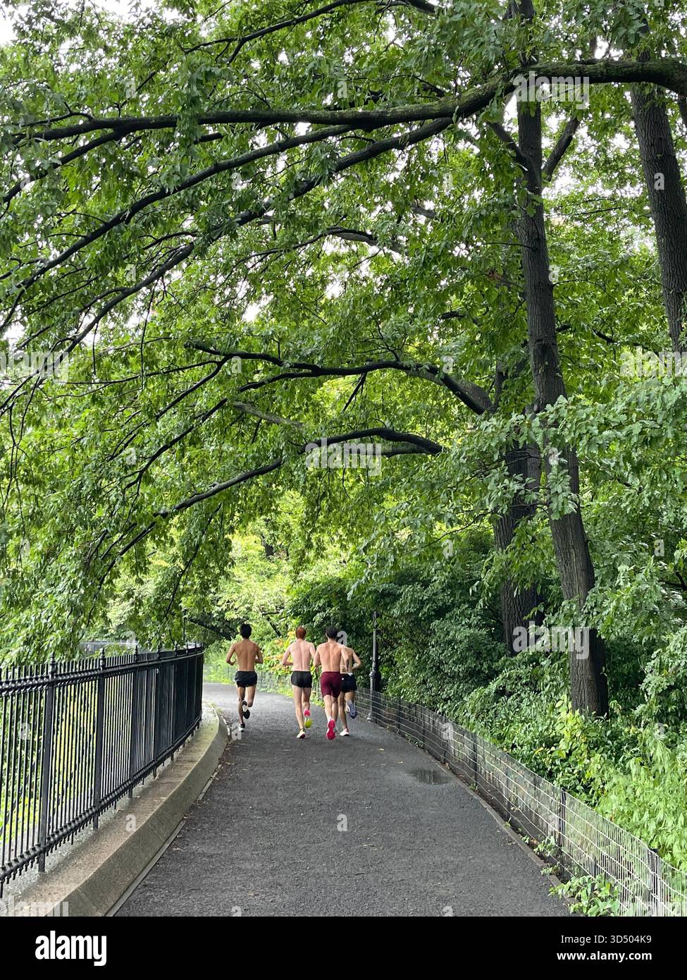 The Central Park Reservoir path, a year-round favorite for jogging and walking. - Smartphone Captured Stock Image