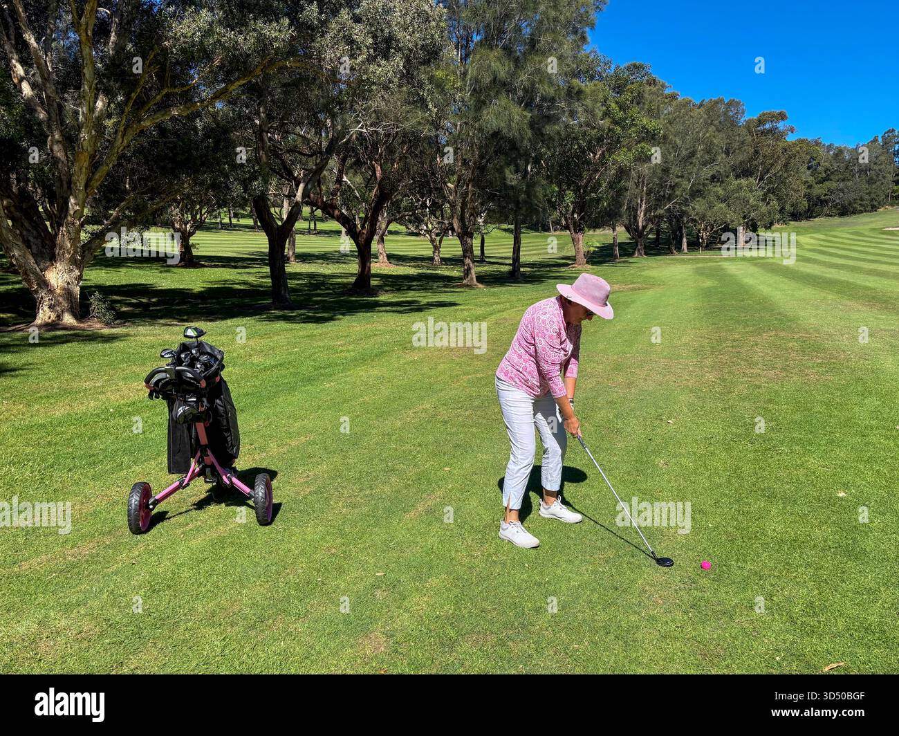 Model released lady woman golfer on fairway with fairway wood and pink ball, on  the golf course fairway Sydney,NSW, Australia - Smartphone Captured Stock Image