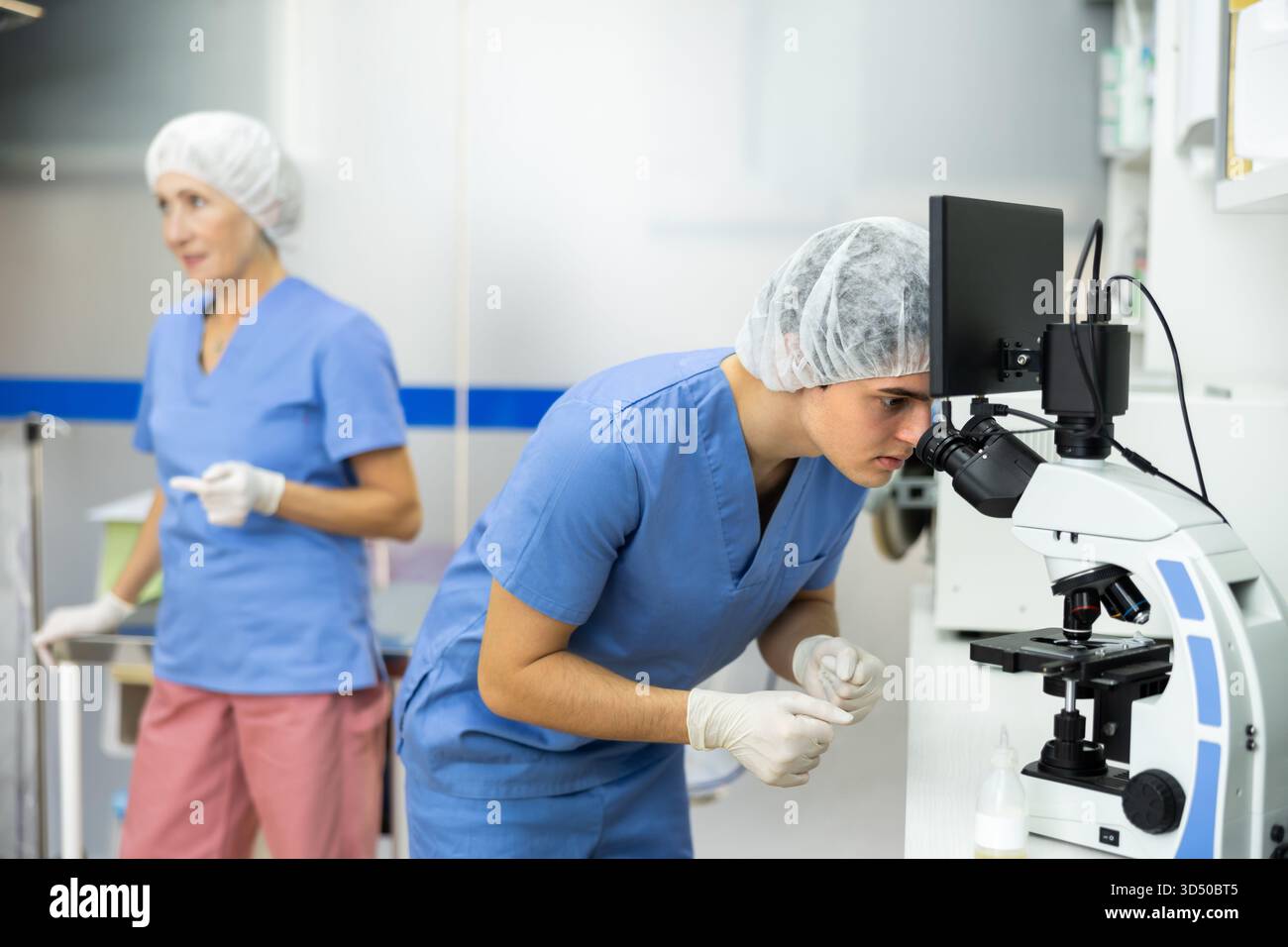Young veterinarian examining samples under microscope in veterinary office Stock Photo