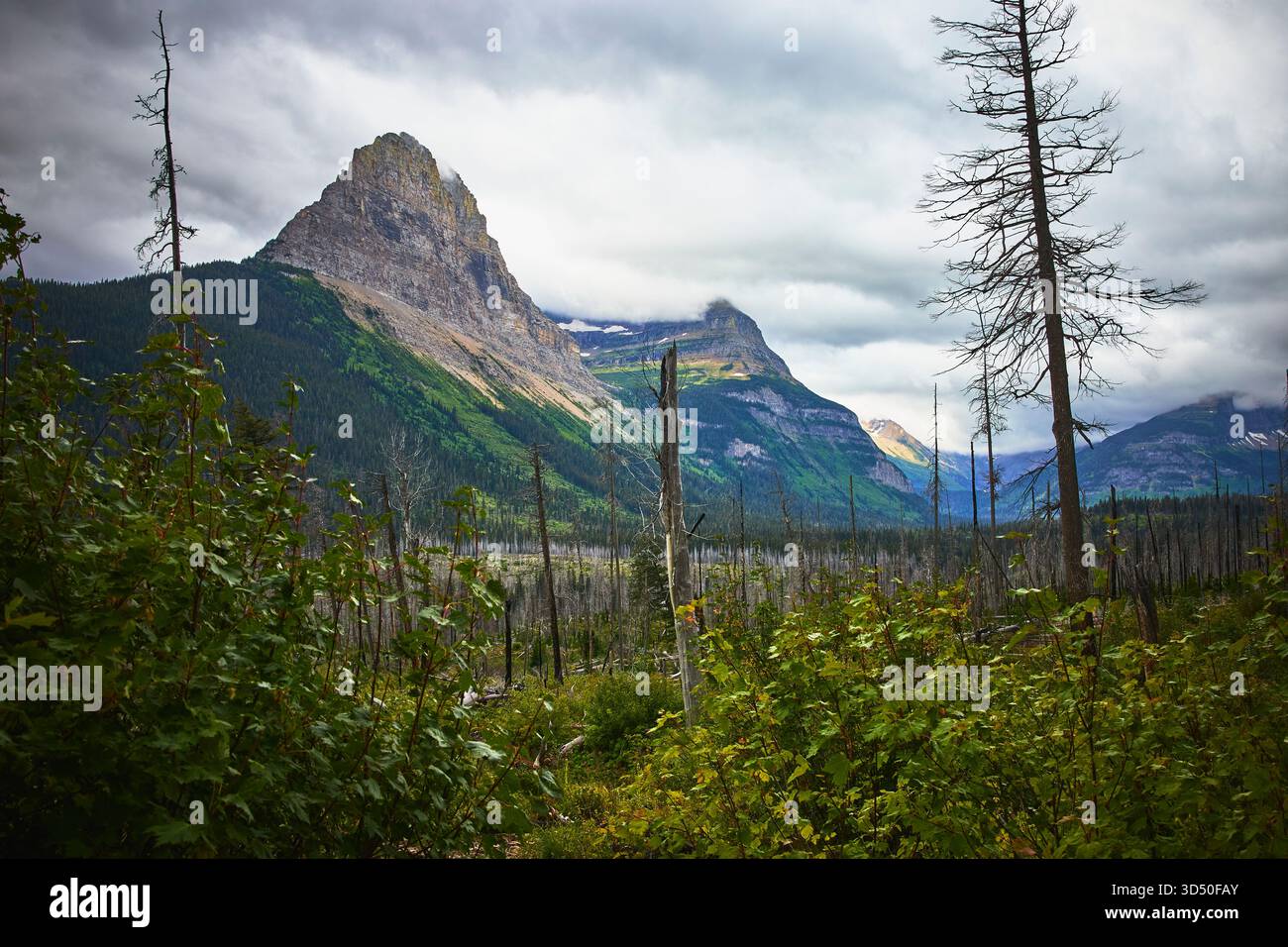 Majestic Mountain Peak with Lush Forest and Dramatic Sky in Untamed Wilderness Stock Photo