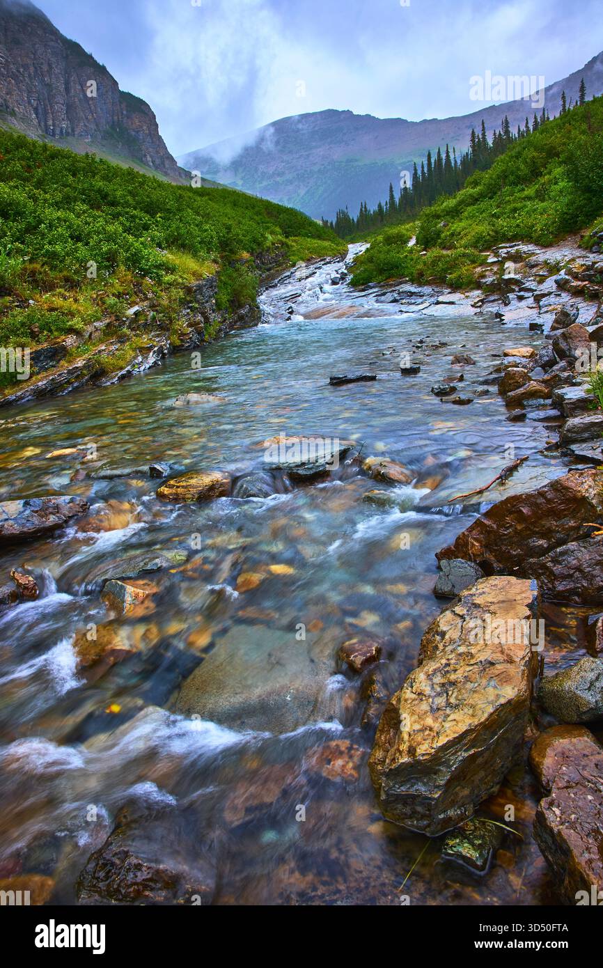 Lush greenery cascades hi-res stock photography and images - Alamy