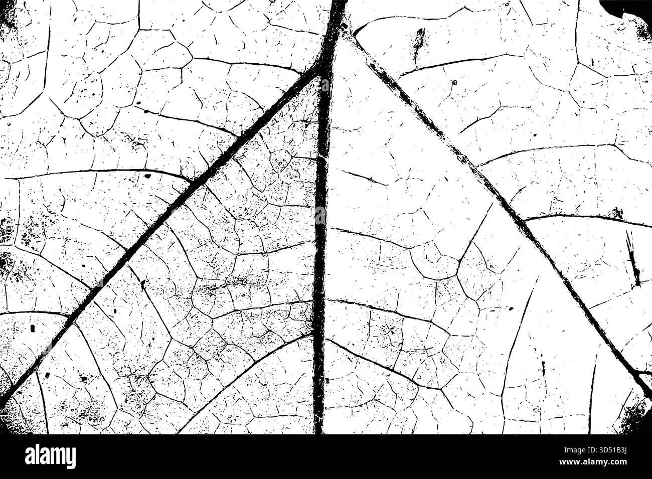 Vector leaf texture overlay with distressed grunge effect Stock Vector