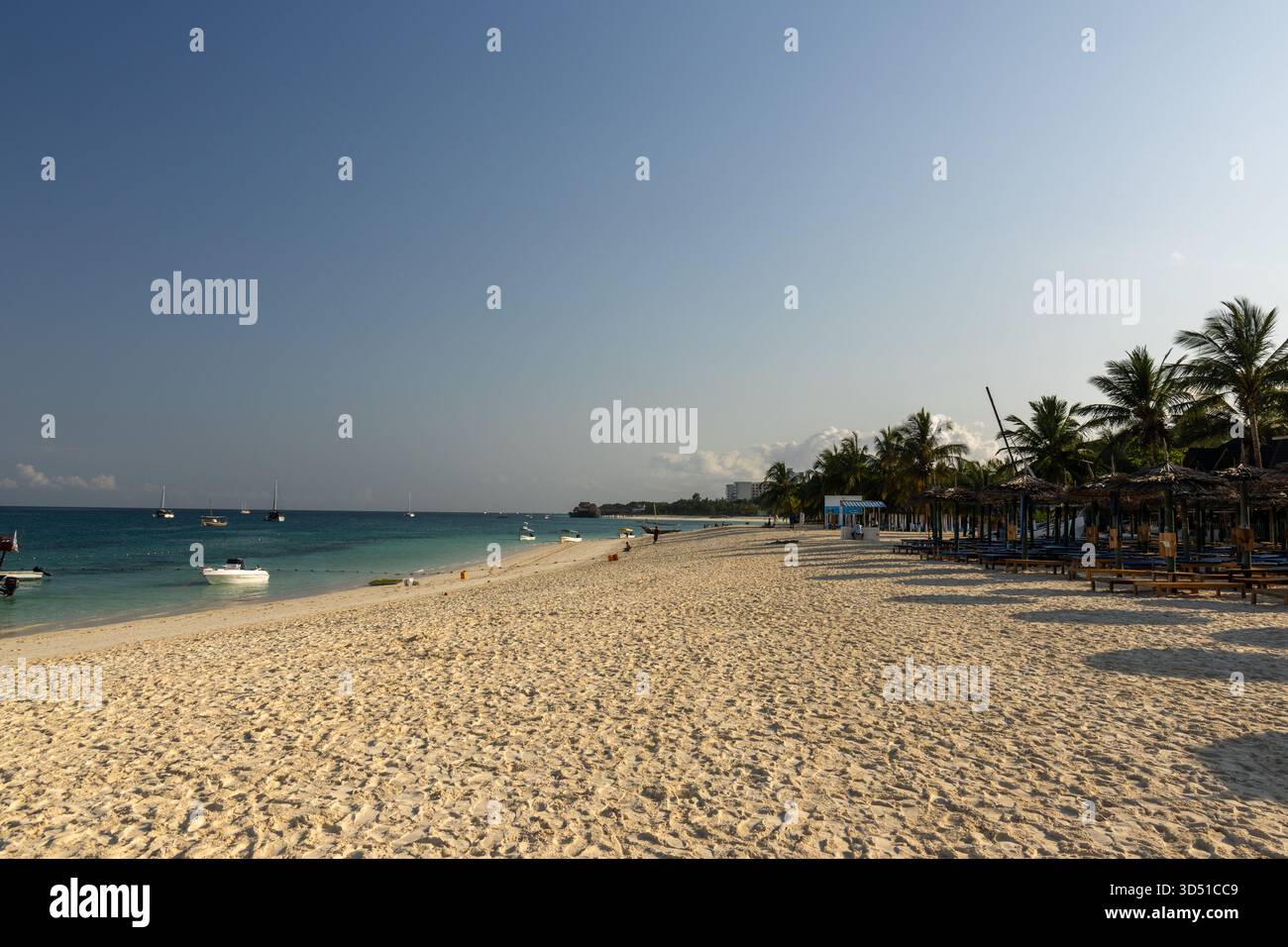 Sunny White Sand Beach With Palm Trees And Sunbeds On The Tropical sunny-white-sand-beach-with-palm-trees-and-sunbeds-on-the-tropical