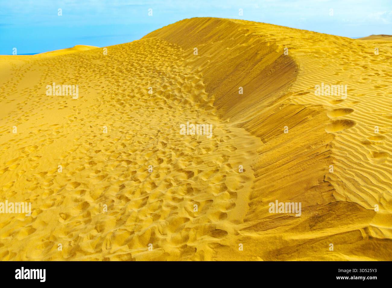 Expansive golden sand dunes of desert landscape, Medanos de Coro ...