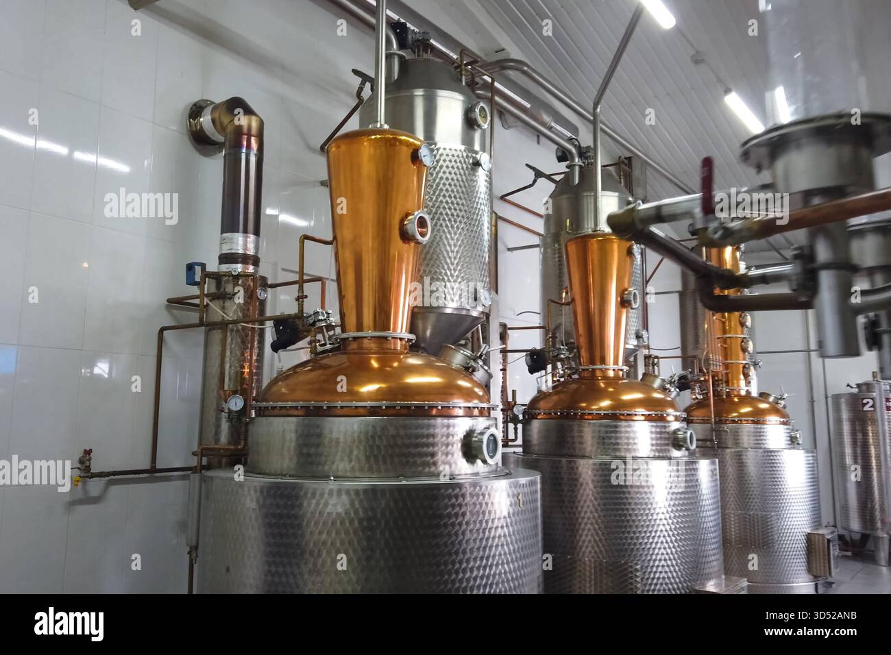 Installation for the preparation of brandy and alcohol from fruits ...