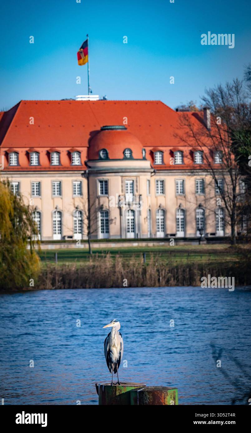 Sitemapcdatahttpswwwkedriinfoatu Berlin Reinickendorf