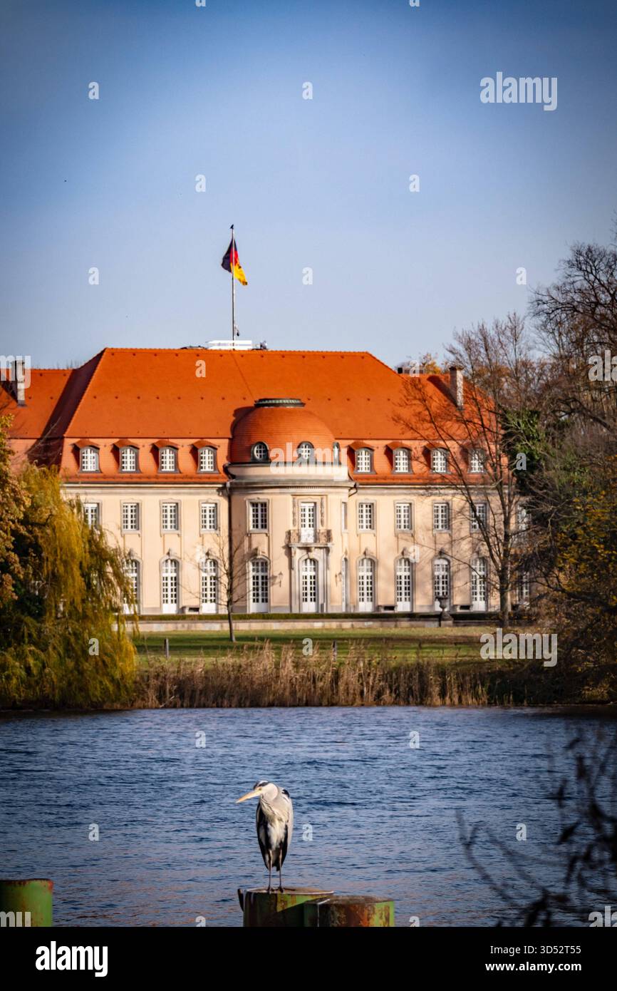 Sitemapcdatahttpswwwkedriinfoatu Berlin Reinickendorf