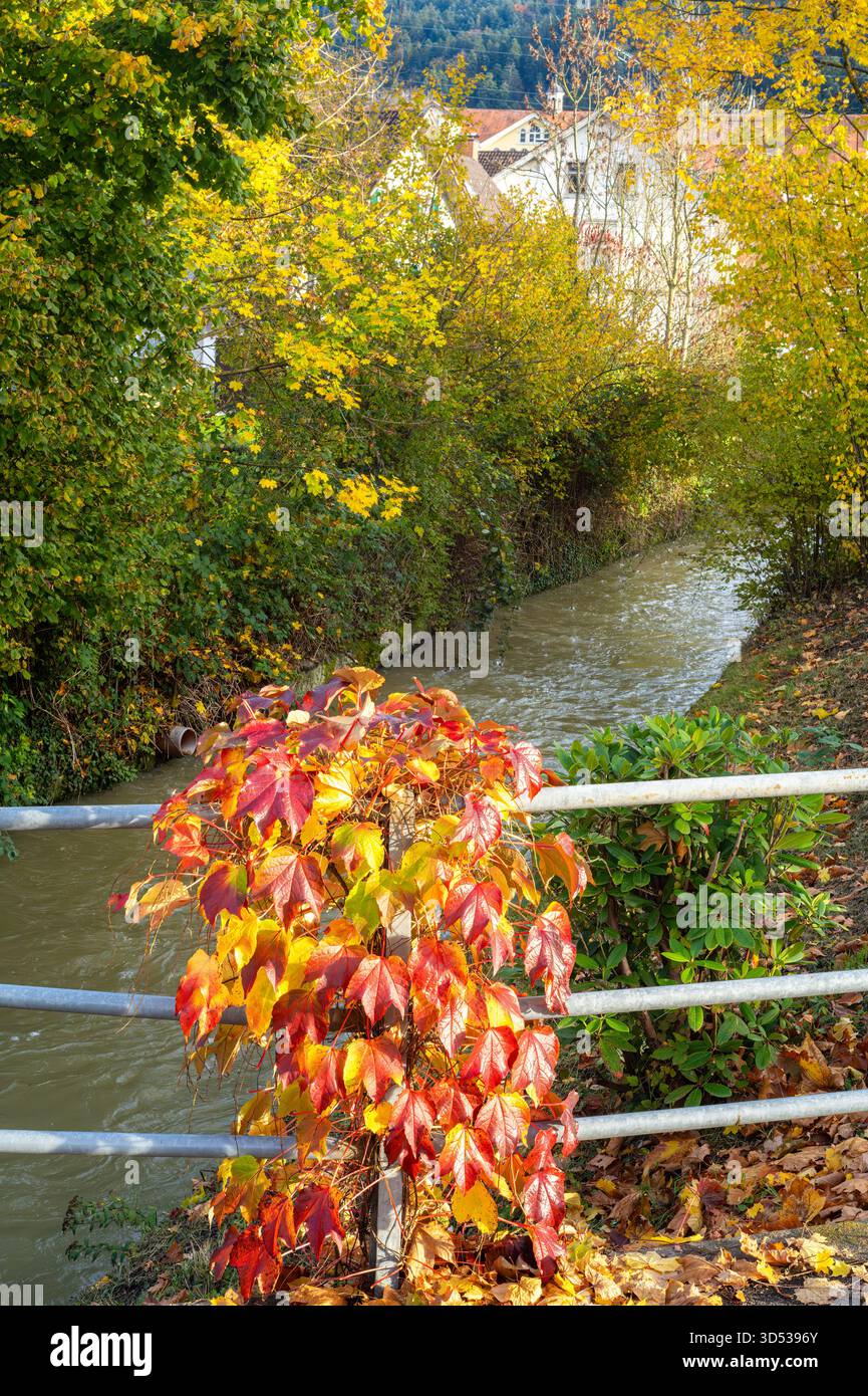 A small stream in Kennelbach flows through a lush autumn landscape with vibrant foliage. Stock Photo