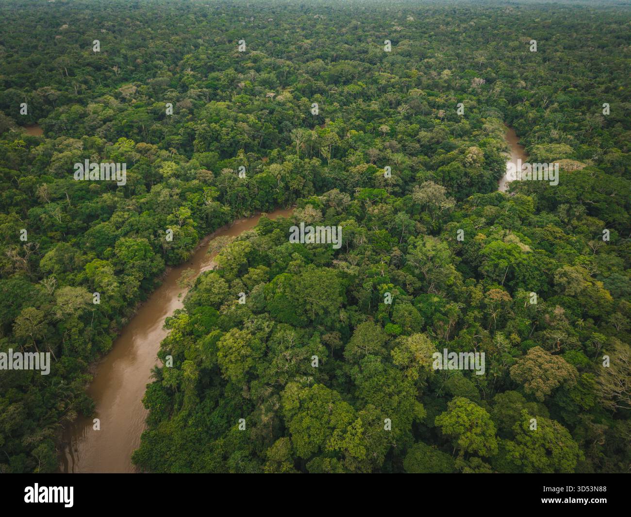Aerial view of a brown river snaking through the verdant canopy of the ...