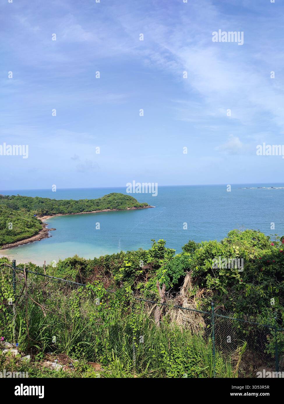 Idyllic Jungle Beach in Unawatuna, Sri Lanka with crystal-clear water, forest-covered hills, and tranquil coastline ideal for tropical travel imagery - Smartphone Captured Stock Image