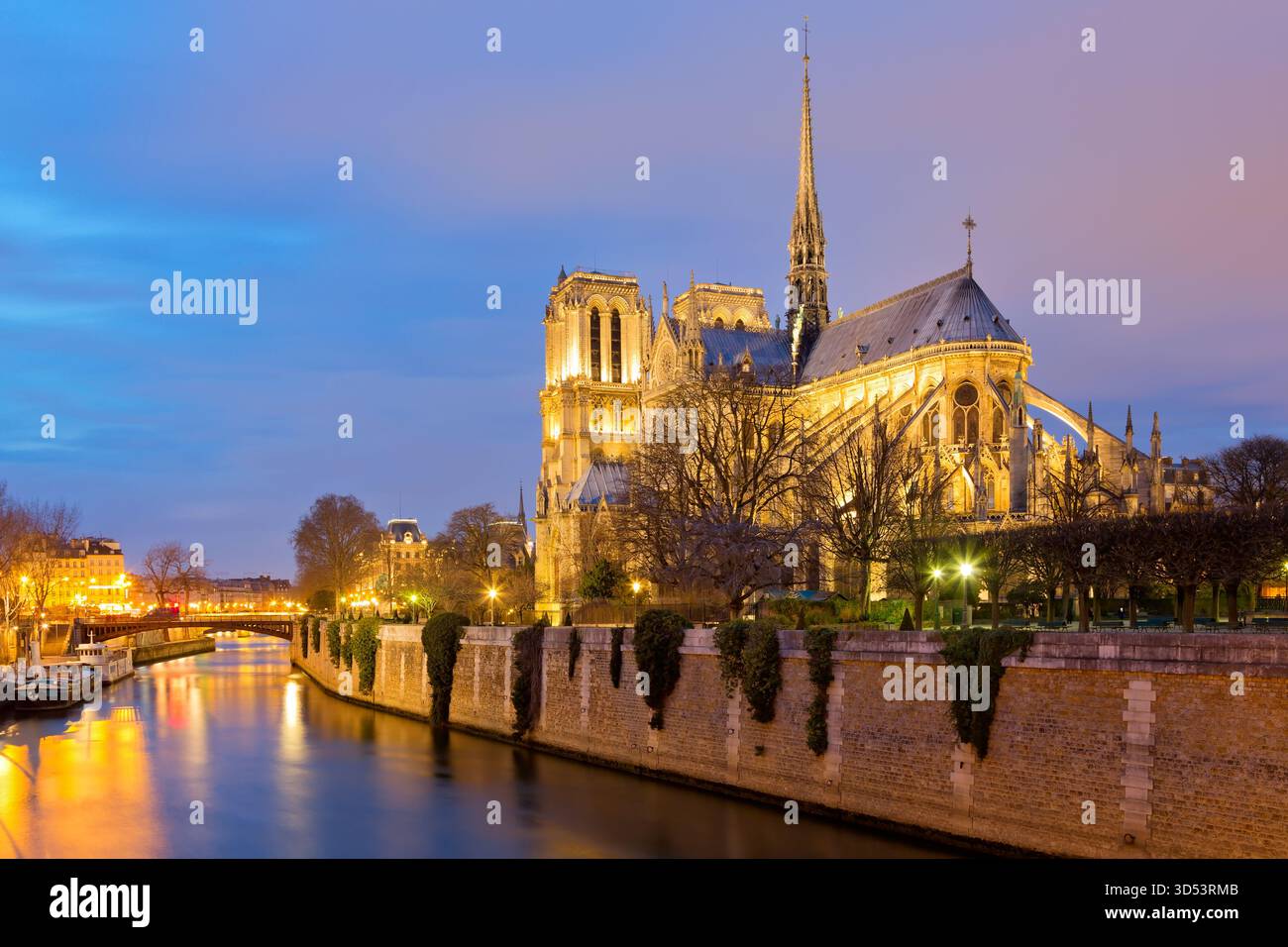 Panoramic view of Notre Dame Cathedral in Paris at night, France