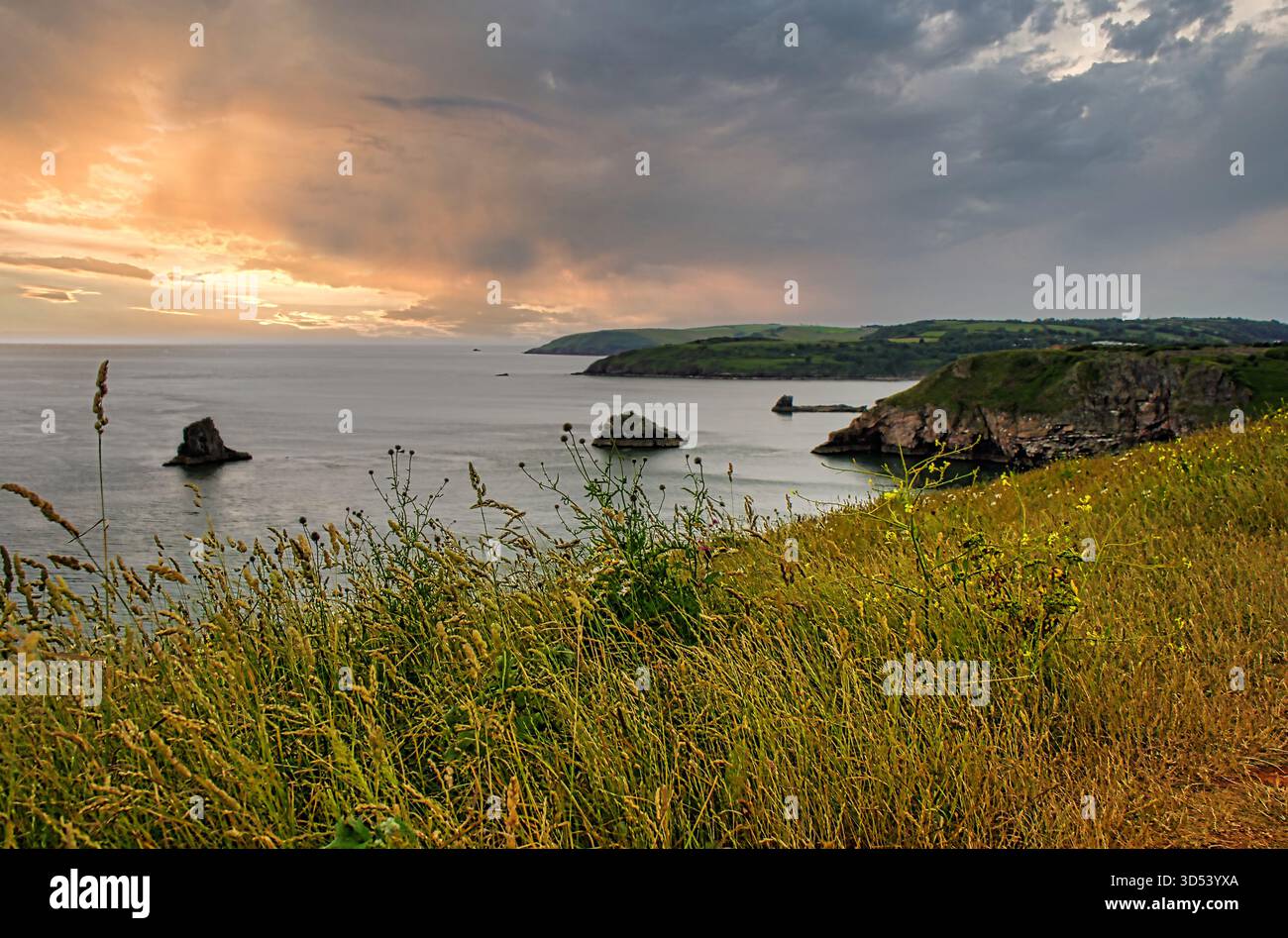 Sunset over the South Hams on the Southwest coast path, South Devon ...