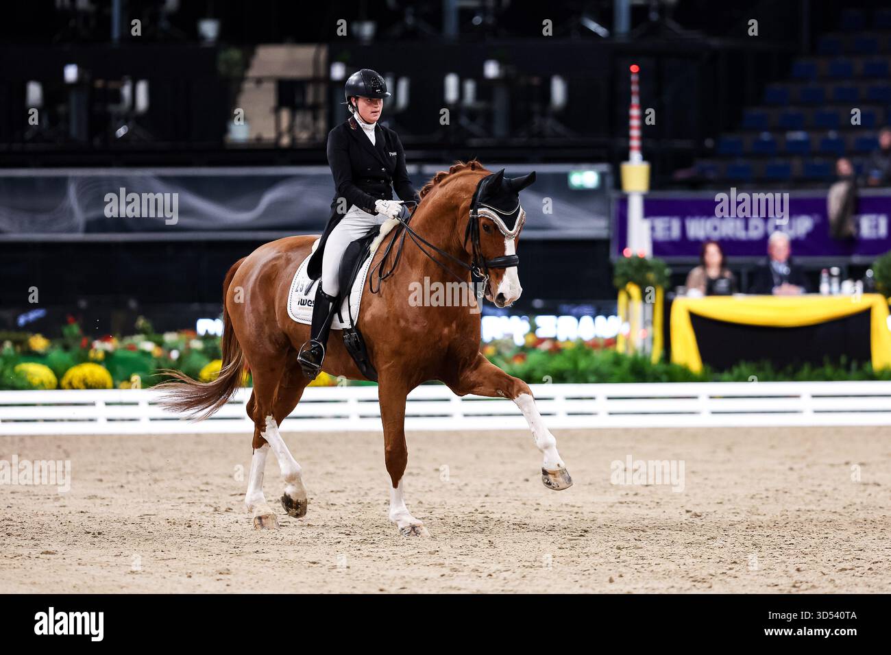third place Romina Nieberle on Free Willy (LRFV Gennachtal) Dressage ...