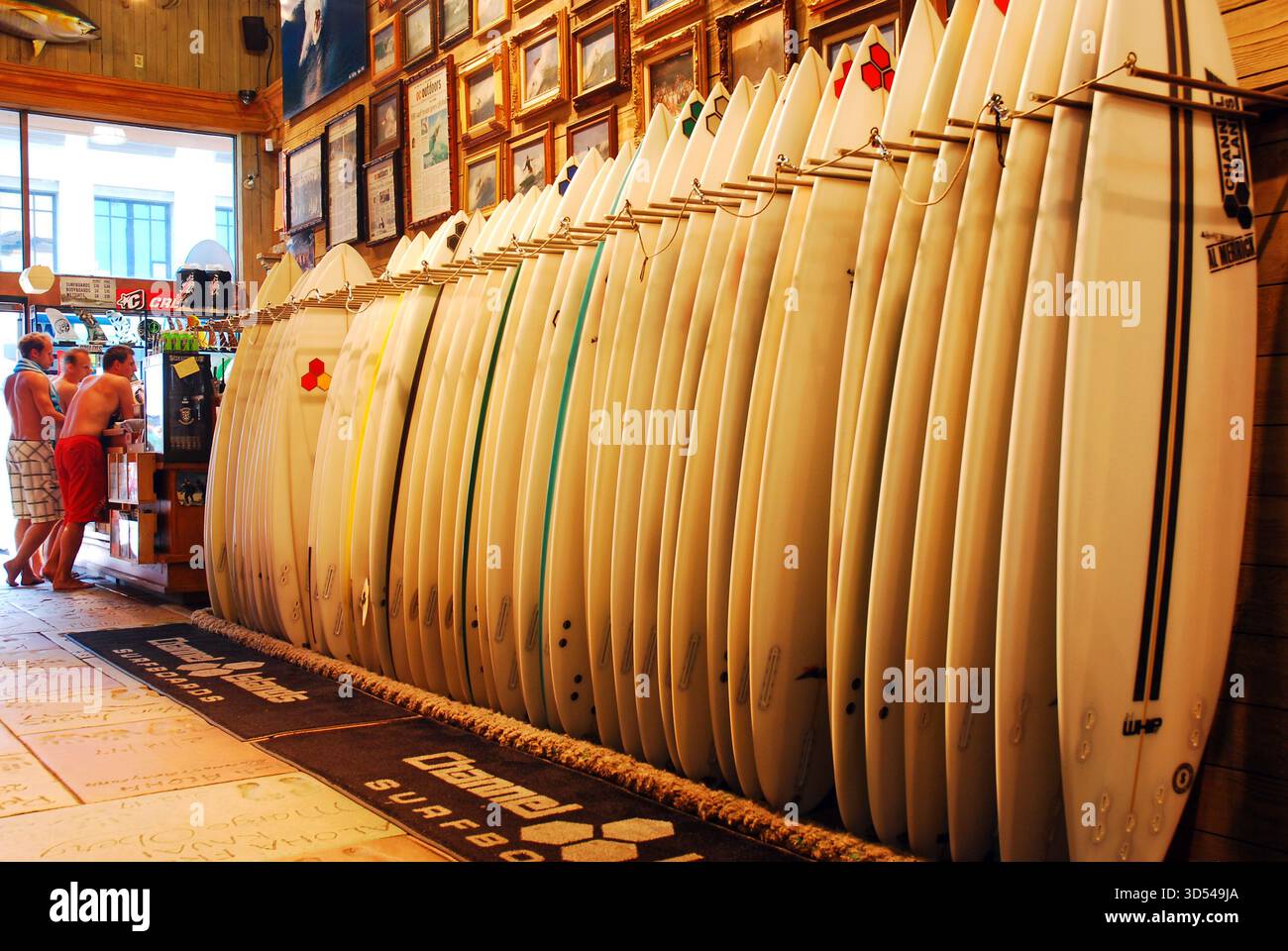 Many surfboards are lined up against the wall inside a surf shop in ...