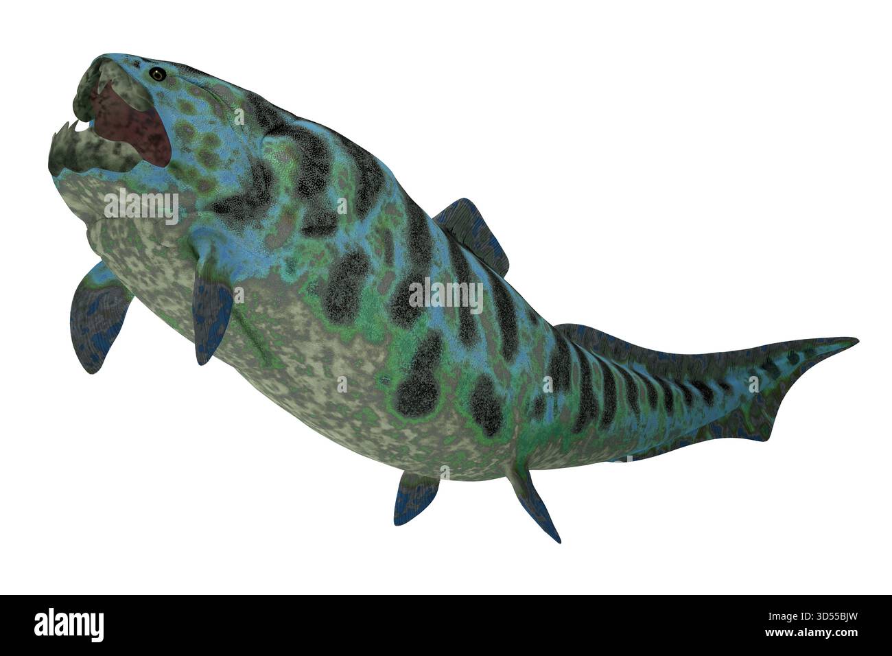 Placoderm fish hi-res stock photography and images - Alamy