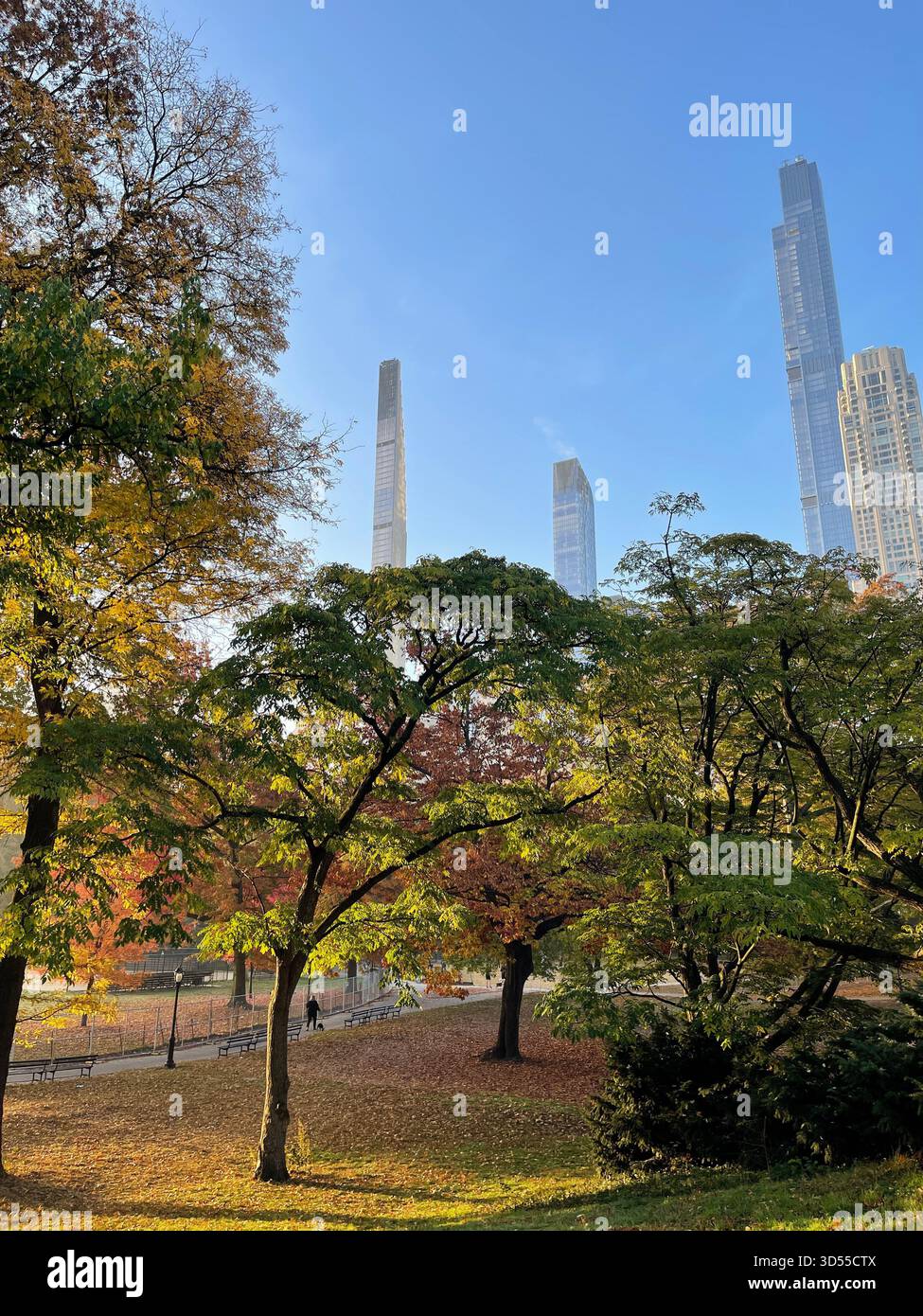 Autumn paints Central Park in gold and quiet magic. - Smartphone Captured Stock Image
