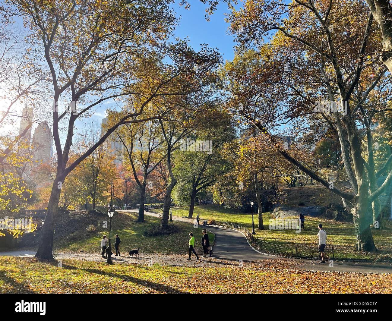 Autumn paints Central Park in gold and quiet magic. - Smartphone Captured Stock Image