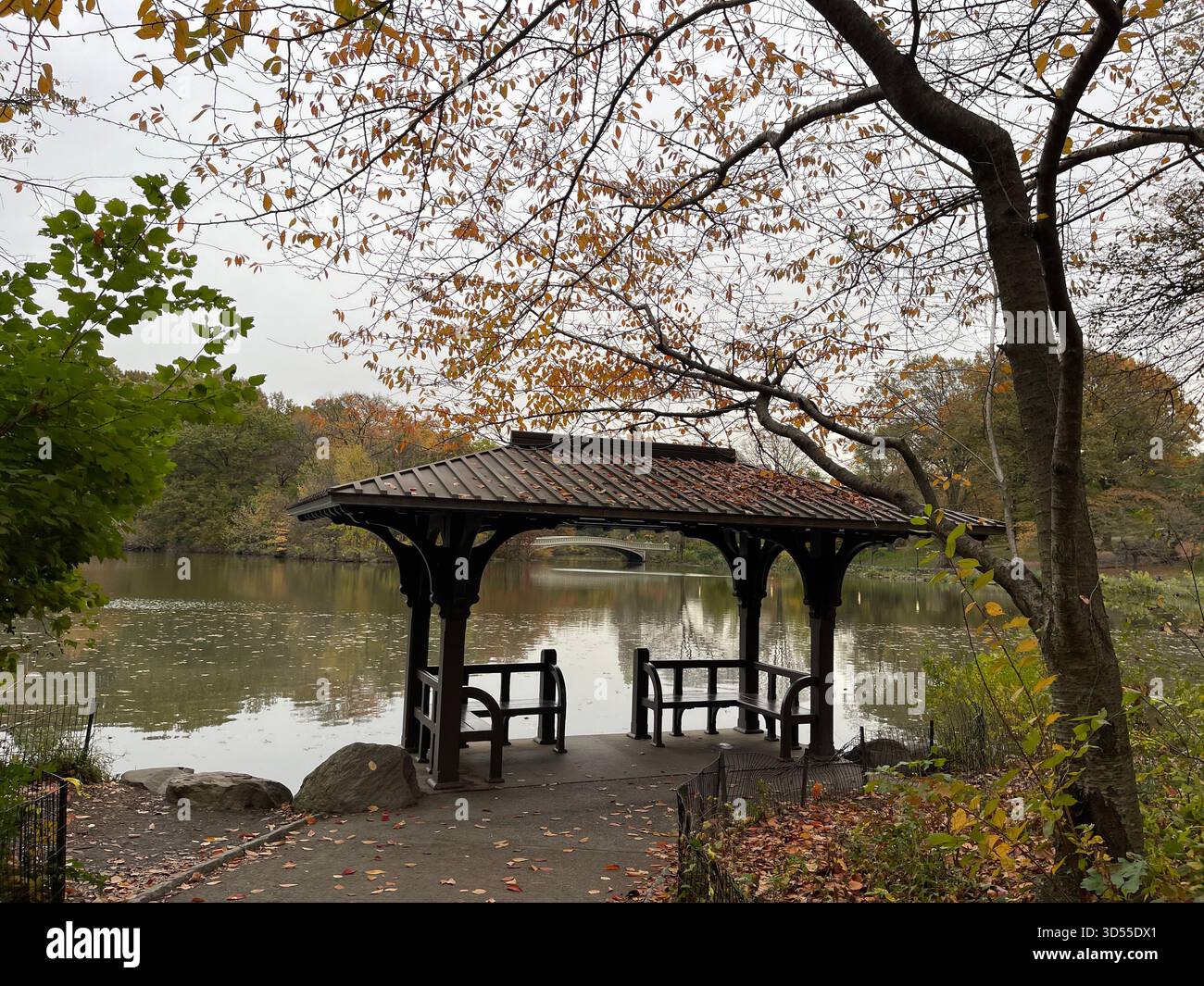 Autumn paints the Lake, Central Park in gold and quiet magic. - Smartphone Captured Stock Image