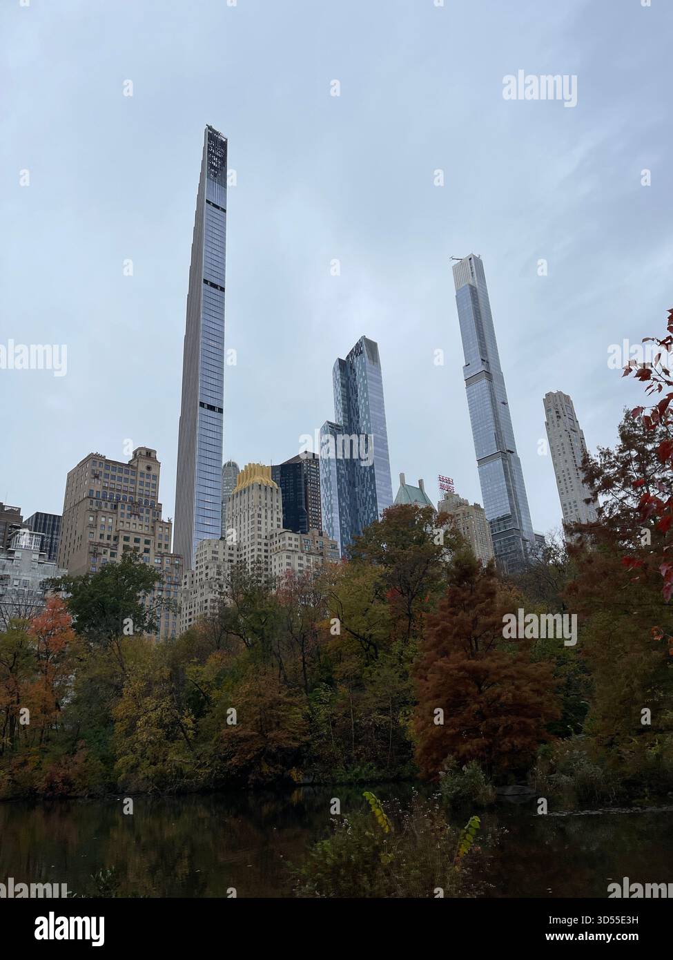 Autumn paints Central Park in gold and quiet magic. - Smartphone Captured Stock Image