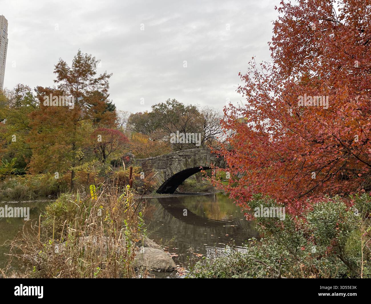 A colorful autumn morning at Gapstow Bridge, capturing the essence of fall in NYC. - Smartphone Captured Stock Image
