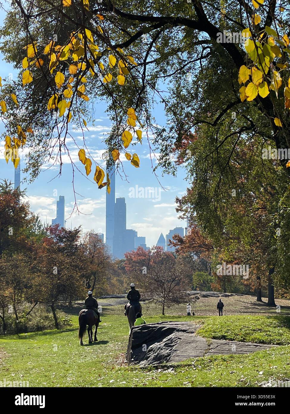 Autumn paints Central Park in gold and quiet magic. - Smartphone Captured Stock Image