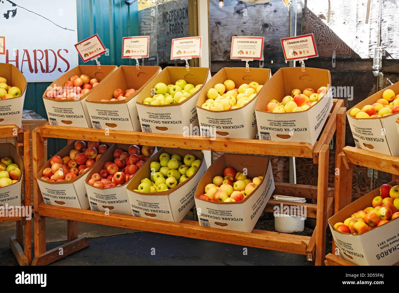 Boxes of fresh picked applesfor sale at a small orchard in the town of Parkdale, Oregon, along the Fruit Loop trail in the Oregon Cascade Mountains ne Stock Photo
