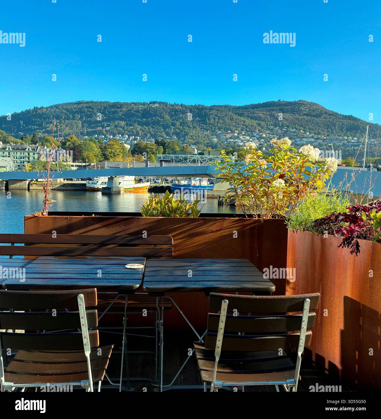 Alfresco table with a mountain view - Smartphone Captured Stock Image