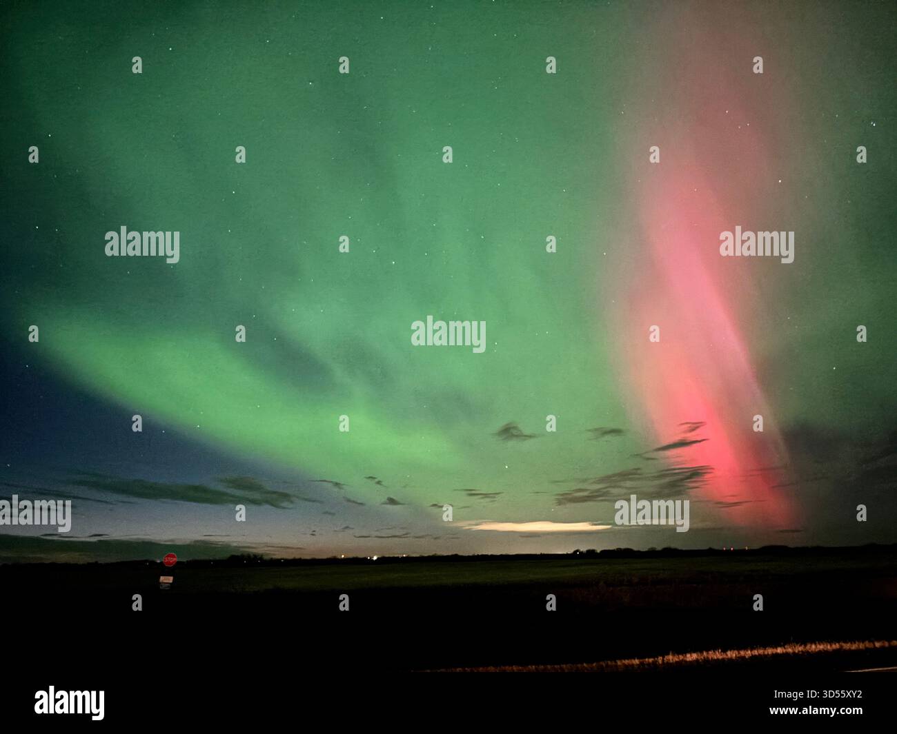 Vibrant northern lights with green and pink hues illuminate a dark prairie sky above a flat landscape and road at night. - Smartphone Captured Stock Image