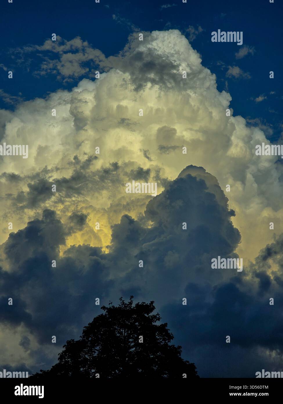 “Dramatic evening sky with towering golden clouds glowing against deep blue tones. Dark silhouettes of trees enhance the contrast, creating a powerful and peaceful natural scene.” - Smartphone Captured Stock Image