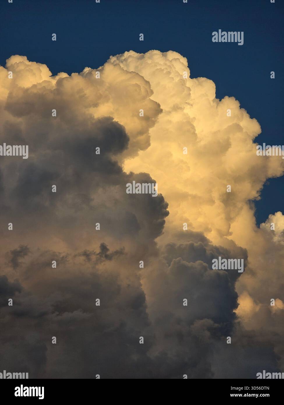 “Dramatic evening sky with towering golden clouds glowing against deep blue tones. Dark silhouettes of trees enhance the contrast, creating a powerful and peaceful natural scene.” - Smartphone Captured Stock Image