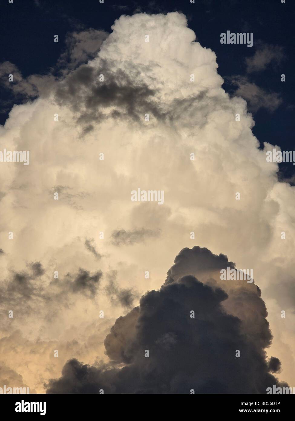 “Dramatic evening sky with towering golden clouds glowing against deep blue tones. Dark silhouettes of trees enhance the contrast, creating a powerful and peaceful natural scene.” - Smartphone Captured Stock Image