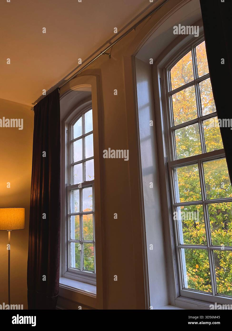 A warm interior scene featuring tall vintage sash windows with deep frames, looking out onto colourful autumn trees in Hull - Smartphone Captured Stock Image