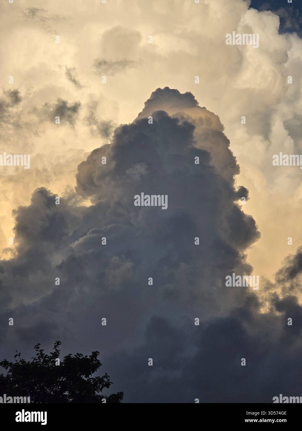 “Dramatic evening sky with towering golden clouds glowing against deep blue tones. Dark silhouettes of trees enhance the contrast, creating a powerful and peaceful natural scene.” - Smartphone Captured Stock Image