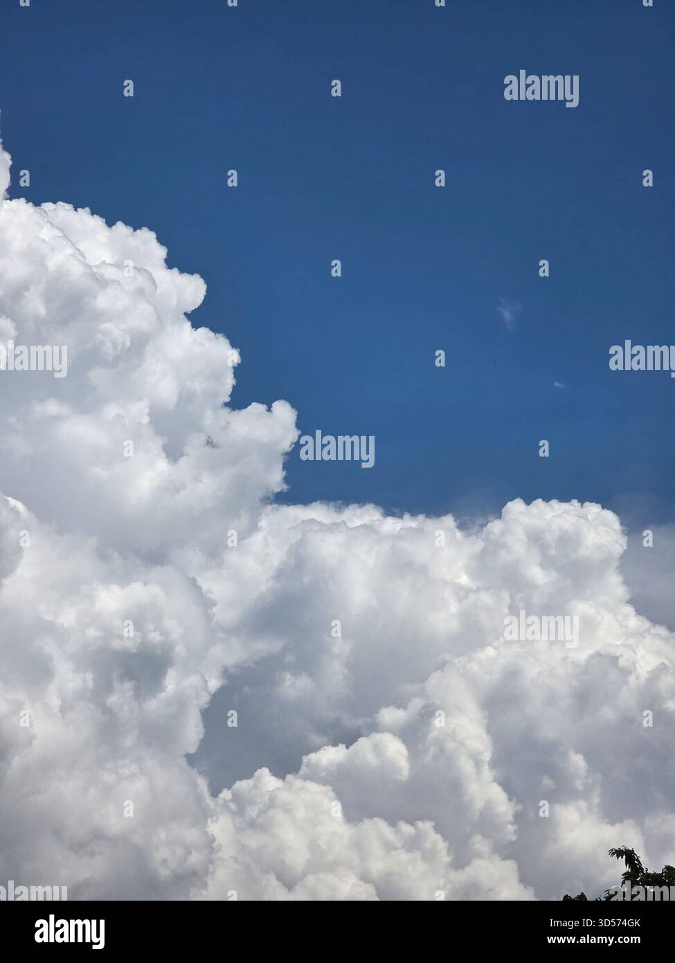 “Dramatic evening sky with towering golden clouds glowing against deep blue tones. Dark silhouettes of trees enhance the contrast, creating a powerful and peaceful natural scene.” - Smartphone Captured Stock Image
