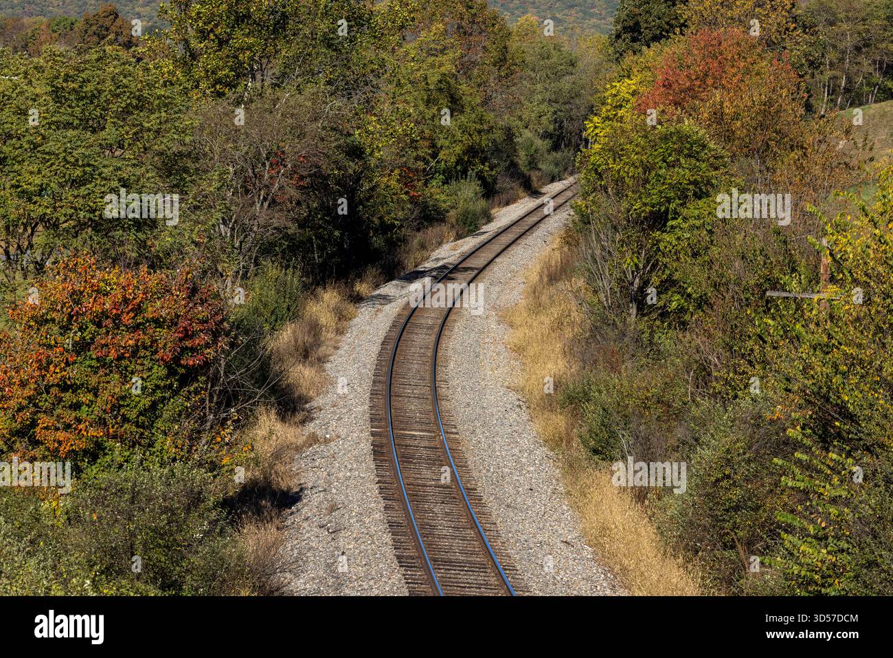 Empty train track going through fall foliage Stock Photo