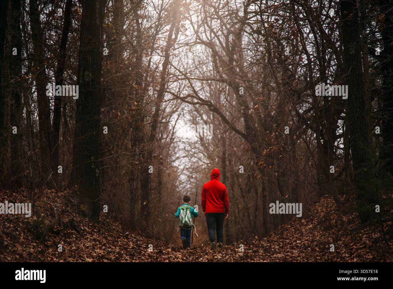 Father Son Walking Through Forest in Winter Stock Photo