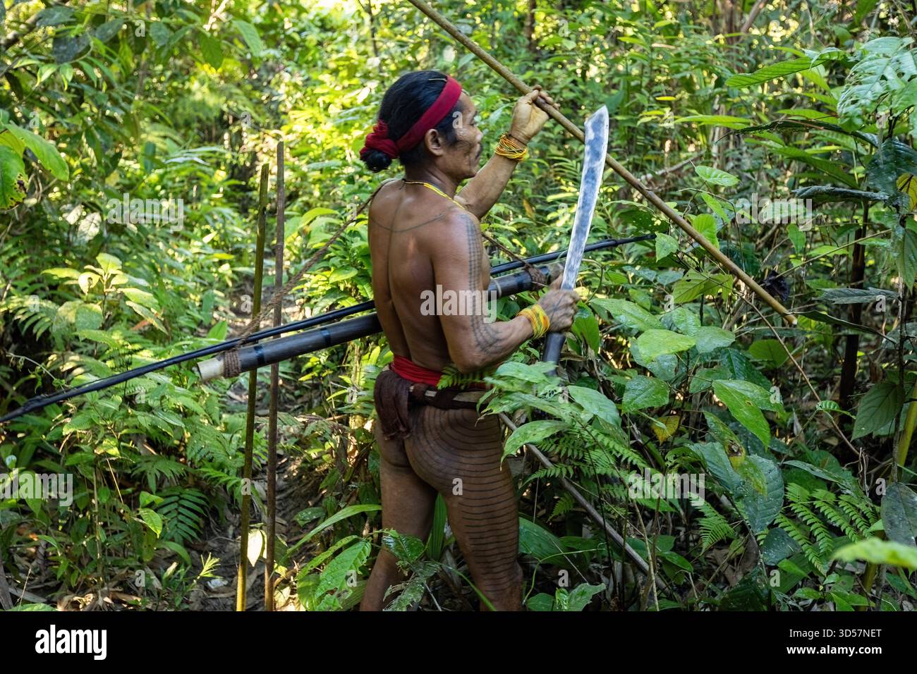 Mentawai shaman wearing traditional attire and body decorations hunting in  the jungle with a traditional hunting gear Siberut Sumatra Indonesia Stock  Photo - Alamy
